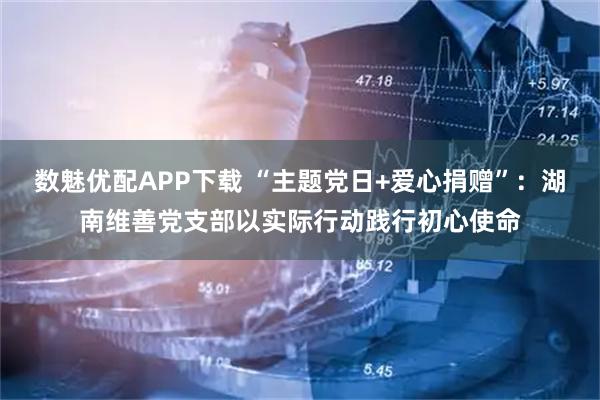 数魅优配APP下载 “主题党日+爱心捐赠”：湖南维善党支部以实际行动践行初心使命