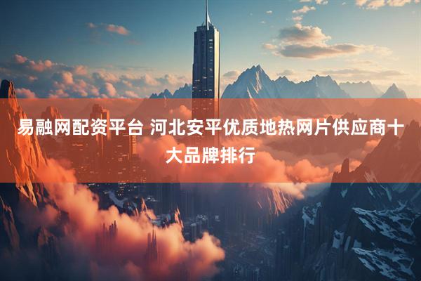 易融网配资平台 河北安平优质地热网片供应商十大品牌排行